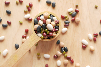 Plant Based Proteins